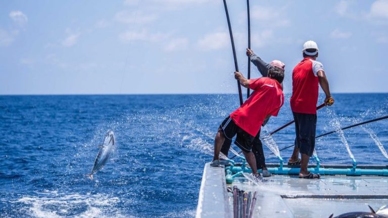 މެއި މަހު މަސްވެރިންނަށް 31 މިލިޔަން ރުފިޔާ ދޫކޮށްފި