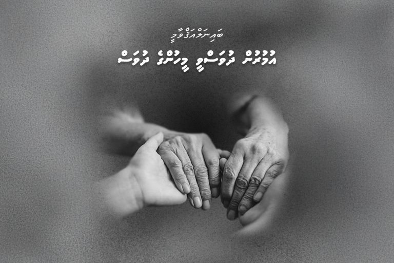 އުމުރުން ދުވަސްވީ ކޮންމެ މީހަކީ މި ޤައުމުގައި ބާއްޖަވެރި މާދަމާއެއް ބިނާކުރުމަށްޓަކައި އިބުރަތުގެ ދަރުސްތަކެއް: ރައީސް