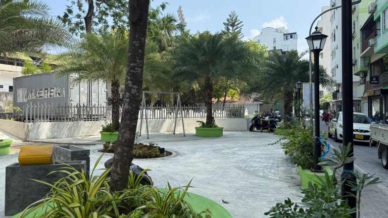 މާލޭ ހުސްބިންތަކުގައި ދިވެހިބޭހުގެ ގަސްތައް އިންދަން ނިންމައިފި މާލެ ސިޓީ ޕާކެއް